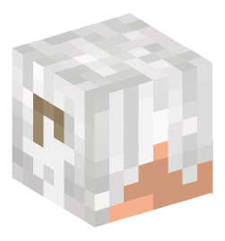 Minecraft head — People