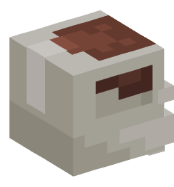 Minecraft head — Monsters