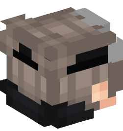 Minecraft head — People