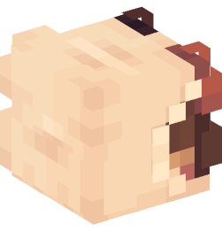 Minecraft head — People