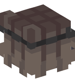 Minecraft head — People