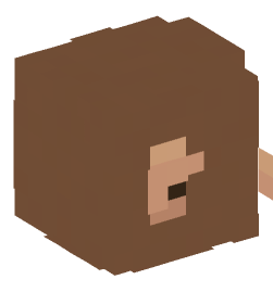 Minecraft head — Animals