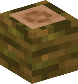 Minecraft head — Blocks