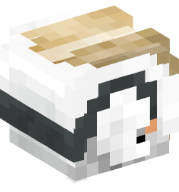 Minecraft head — People