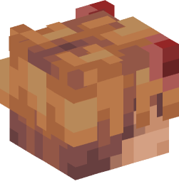 Minecraft head — Creatures