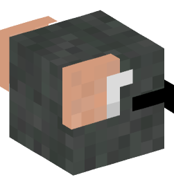 Minecraft head — Animals