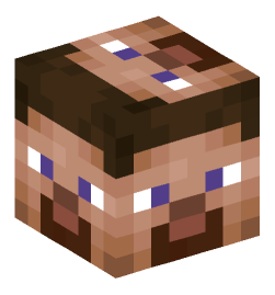 Minecraft head — Miscellaneous