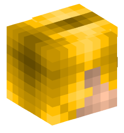 Minecraft head — People