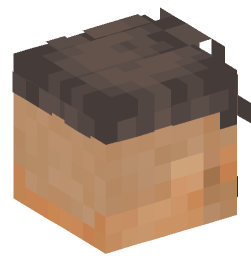 Minecraft head — People