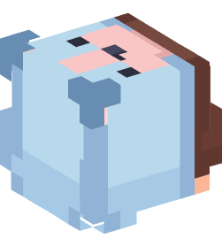 Minecraft head — People