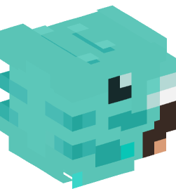 Minecraft head — People