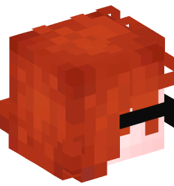 Minecraft head — People