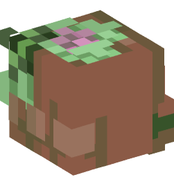 Minecraft head — People