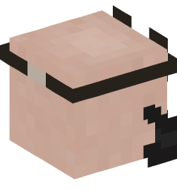 Minecraft head — People