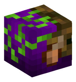 Minecraft head — People