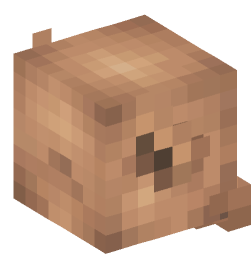 Minecraft head — Creatures