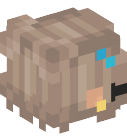 Minecraft head — People