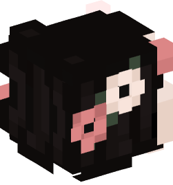 Minecraft head — People