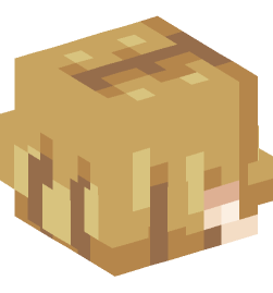 Minecraft head — Creatures