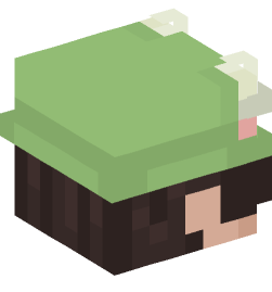 Minecraft head — People