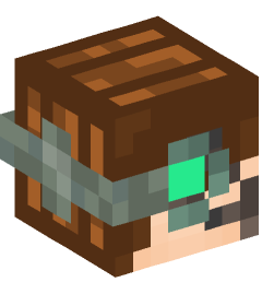 Minecraft head — People