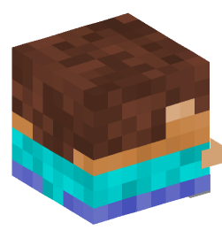 Minecraft head — Decor