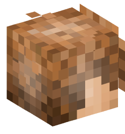 Minecraft head — People