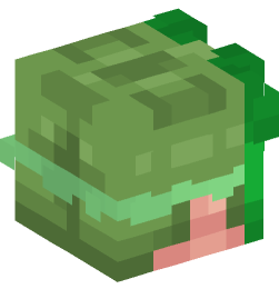 Minecraft head — People