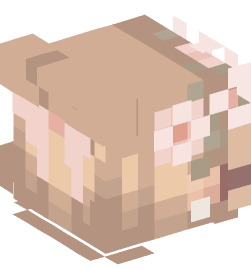 Minecraft head — People