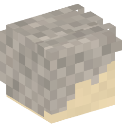 Minecraft head — People