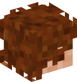 Minecraft head — People