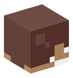 Minecraft head — Miscellaneous