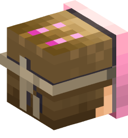 Minecraft head — People