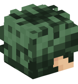 Minecraft head — People