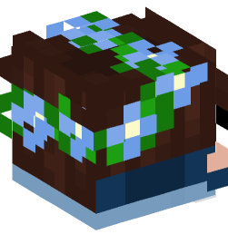 Minecraft head — Decor