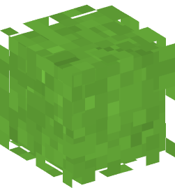 Minecraft head — Plants