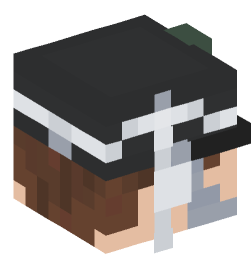 Minecraft head — People