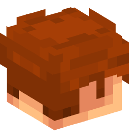 Minecraft head — People