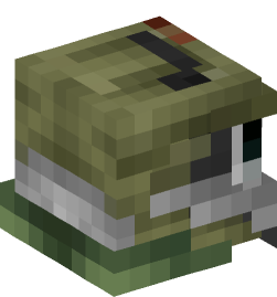 Minecraft head — People