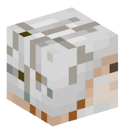 Minecraft head — Creatures