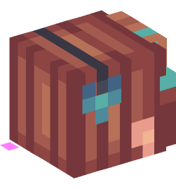 Minecraft head — People