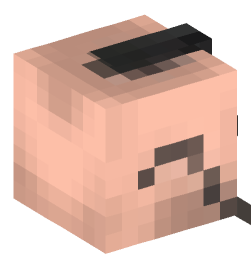 Minecraft head — People