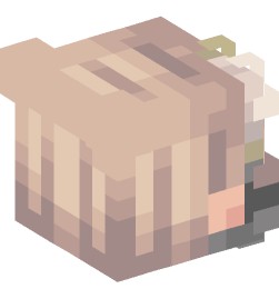 Minecraft head — People