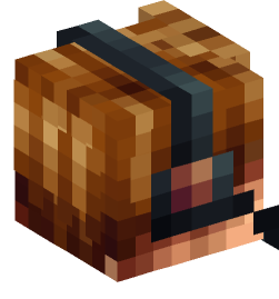 Minecraft head — People