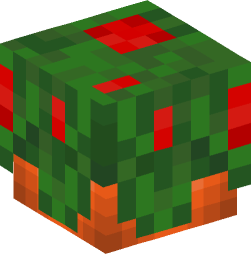 Minecraft head — People