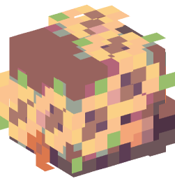 Minecraft head — People