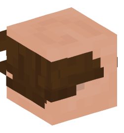 Minecraft head — People