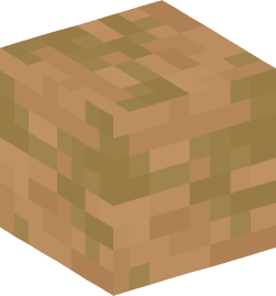 Minecraft head — Blocks