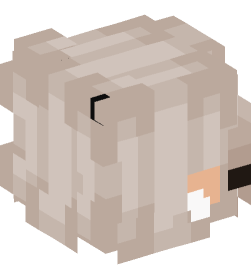 Minecraft head — People