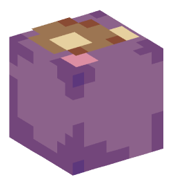 Minecraft head — Creatures